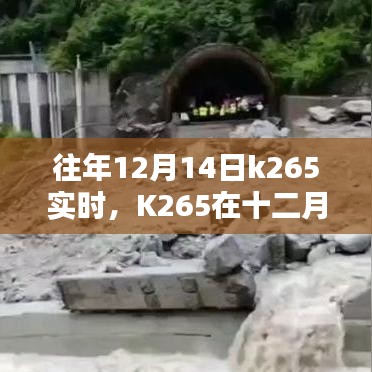百尺无枝 第4页