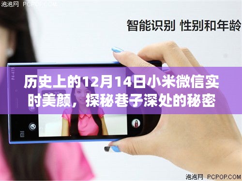尽心竭力 第3页
