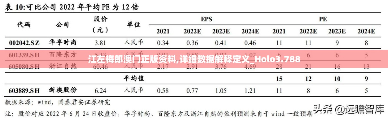 江左梅郎澳门正版资料,详细数据解释定义_Holo3.788