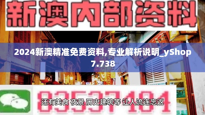 2024新澳精准免费资料,专业解析说明_yShop7.738