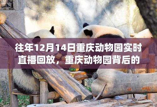 特色小店故事