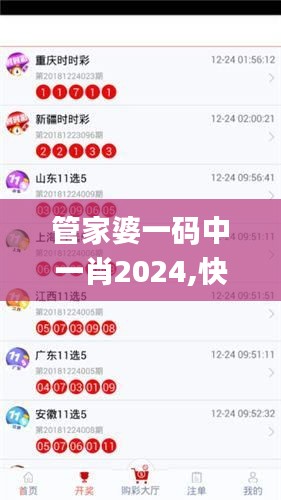 管家婆一码中一肖2024,快速响应计划解析_XT3.249