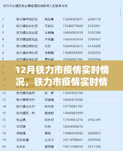 铁力市疫情实时报告，聚焦防控进展与公众应对指南，12月最新情况