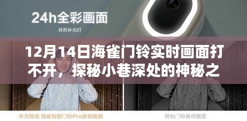 探秘小巷深处的神秘之门，海雀门铃下的奇遇与实时画面故障解析