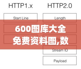 600图库大全免费资料图,数据分析解释定义_NE版5.512