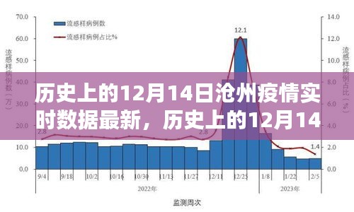 历史上的12月14日沧州疫情实时数据深度测评与介绍，最新数据与介绍