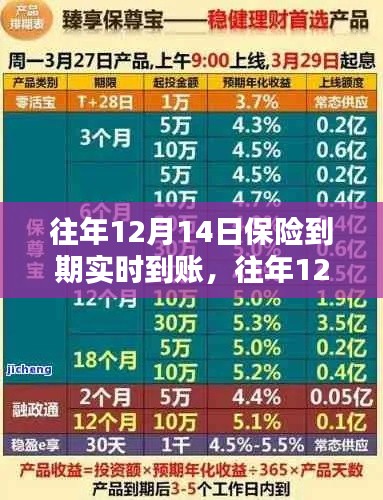 往年12月14日保险到期产品全面评测及介绍，实时到账特性详解