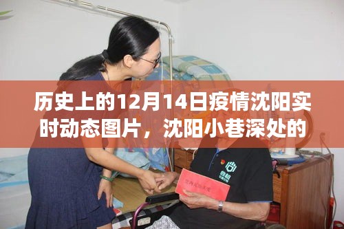 透过时光镜头，沈阳防疫故事——12月14日疫情实时动态图片回顾