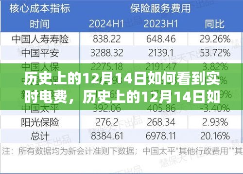 实用指南，历史上的12月14日实时电费查询步骤——初学者与进阶用户必看！