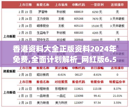 香港资料大全正版资料2024年免费,全面计划解析_网红版6.508