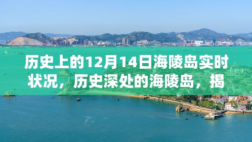 小心翼翼 第3页
