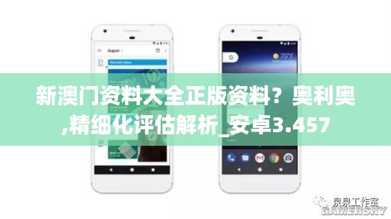 新澳门资料大全正版资料？奥利奥,精细化评估解析_安卓3.457