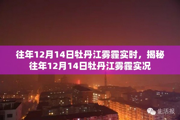 飞箭如蝗 第3页