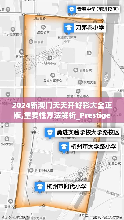 2024新澳门天天开好彩大全正版,重要性方法解析_Prestige6.919