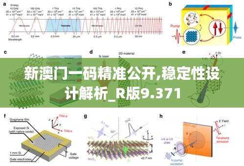 公司简介 第260页