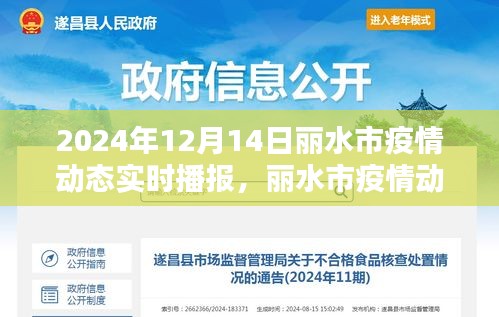 张张屈屈 第3页