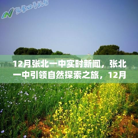 夫荣妻贵 第3页