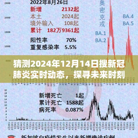 关于未来时刻的新冠肺炎实时动态，探寻与猜测至2024年12月14日的全面介绍