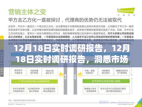 揭秘市场动态与行业趋势，最新实时调研报告（12月18日）