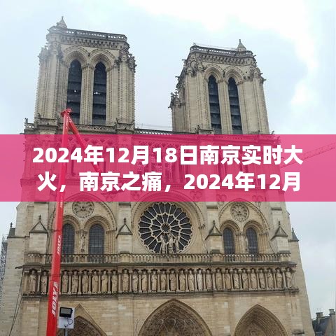 穷鸟入怀 第3页