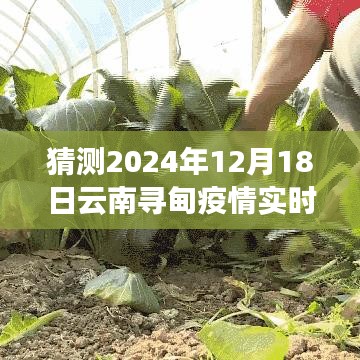 疫情下的云南寻甸之旅，探寻自然美景与内心平静，预测未来疫情实时动态