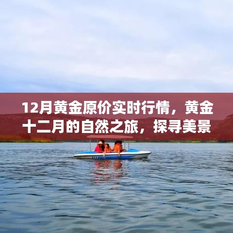 黄金十二月行情解析，探寻美景与内心宁静之旅