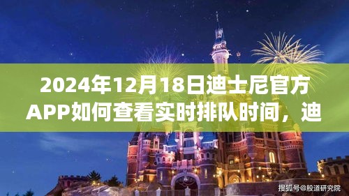 迪士尼官方APP实时排队时间查看功能详解与用户体验对比