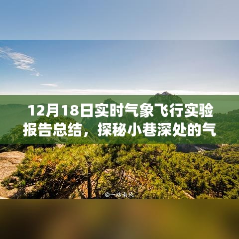 探秘小巷深处的气象奇缘，12月18日实时气象飞行实验报告总结与展望