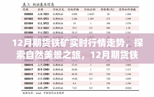 12月期货铁矿行情解析与宁静铁矿之旅的探索