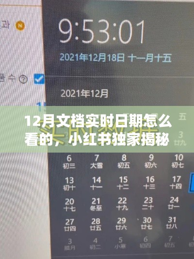 小红书揭秘，轻松查看文档实时日期的实用技巧，掌握12月文档的实时动态！