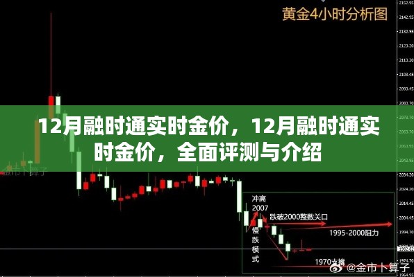 全面评测与介绍，12月融时通实时金价一览