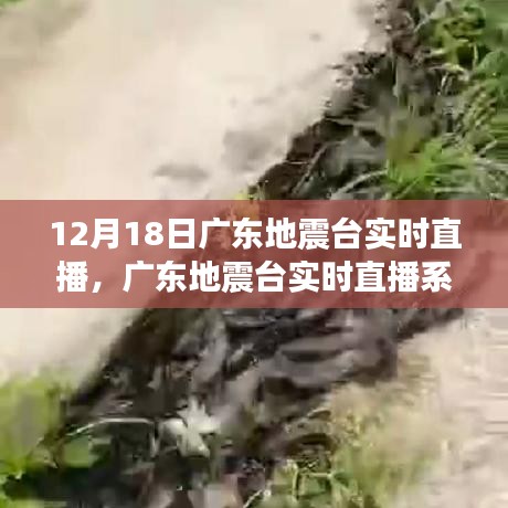 鸟飞兔走 第3页