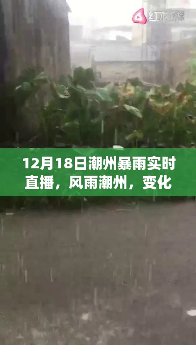 鸟穷则啄 第3页