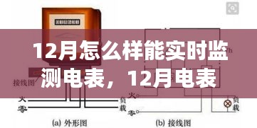 百鸟争鸣 第3页
