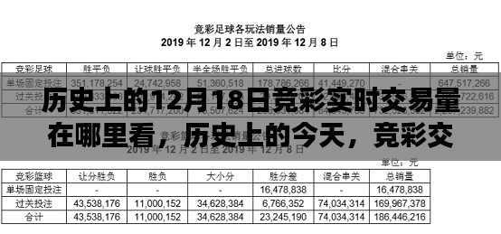 历史上的今天竞彩实时交易量揭秘，背后的温情故事与交易数据观察