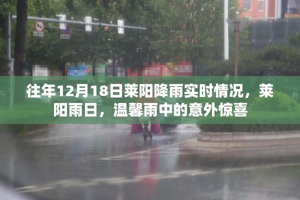 往年12月18日莱阳降雨情况及雨中意外惊喜