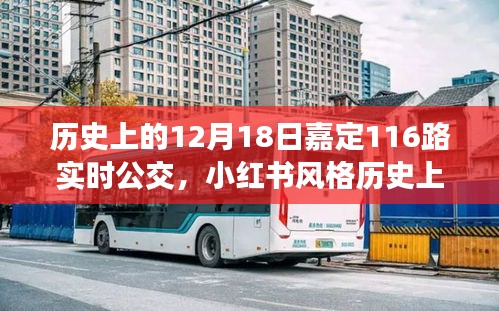揭秘历史中的某一天，嘉定公交116路实时轨迹与故事回顾（小红书风格）