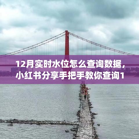 小红书教程，手把手查询12月实时水位数据，轻松掌握水位动态💦
