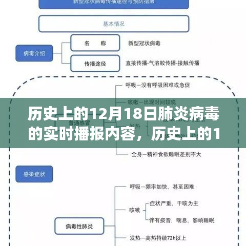 竞品对比与用户洞察