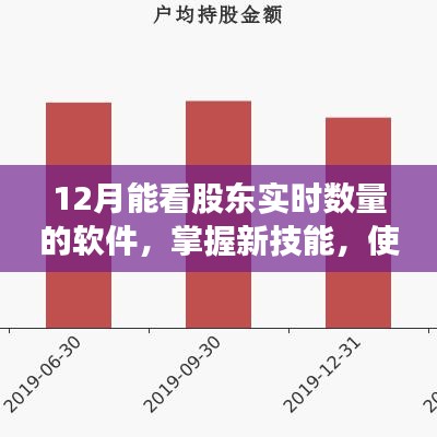 掌握新技能，使用软件查看股东实时数量的详细指南（适合初学者与进阶用户）——十二月实时股东数量监控软件介绍
