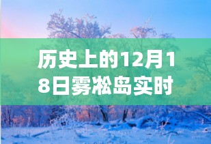多维度视角下的雾凇岛，历史12月18日实时地图与观点碰撞
