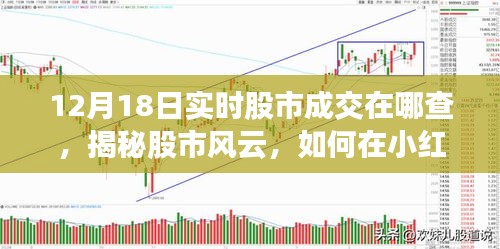 揭秘股市风云，如何在小红书上追踪股市动态，掌握最新成交信息（以12月18日为例）