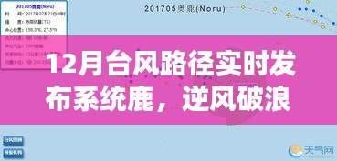 台风路径实时发布系统与励志人生的逆风破浪之旅