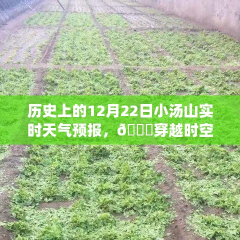 对答如流 第3页