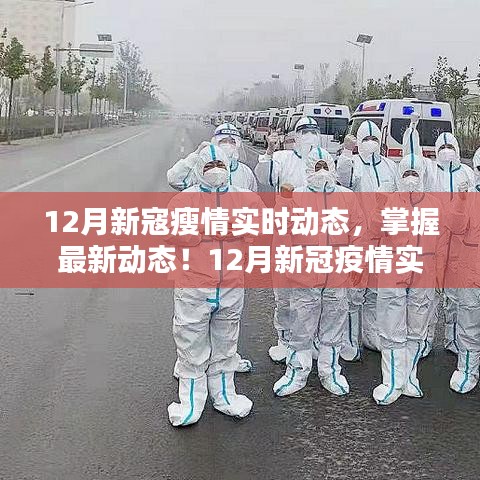 12月新冠疫情实时追踪，最新动态与应对策略指南