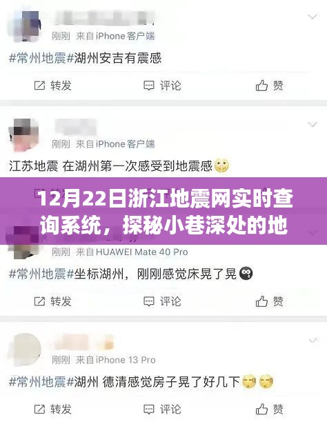 浙江地震网实时查询系统揭秘，小巷深处的地震监测体验馆