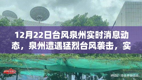 深远影响分析