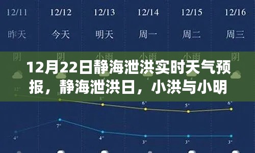 静海泄洪日气象奇遇，小洪与小明的天气冒险之旅