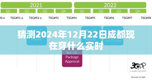 2024年12月