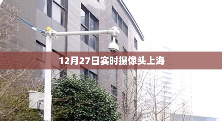 12月27日 第8页